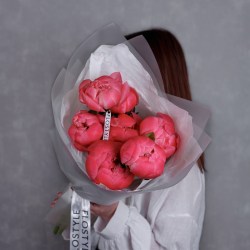 piony koral sharm 7 pionov 672